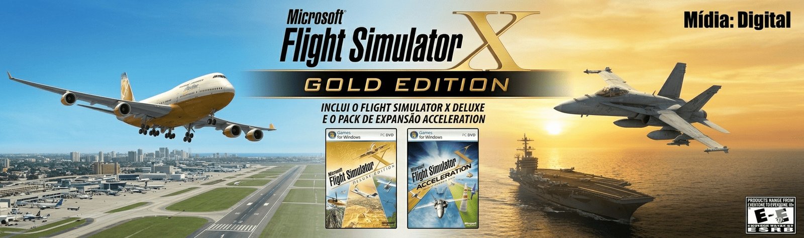 Flight Simulator X