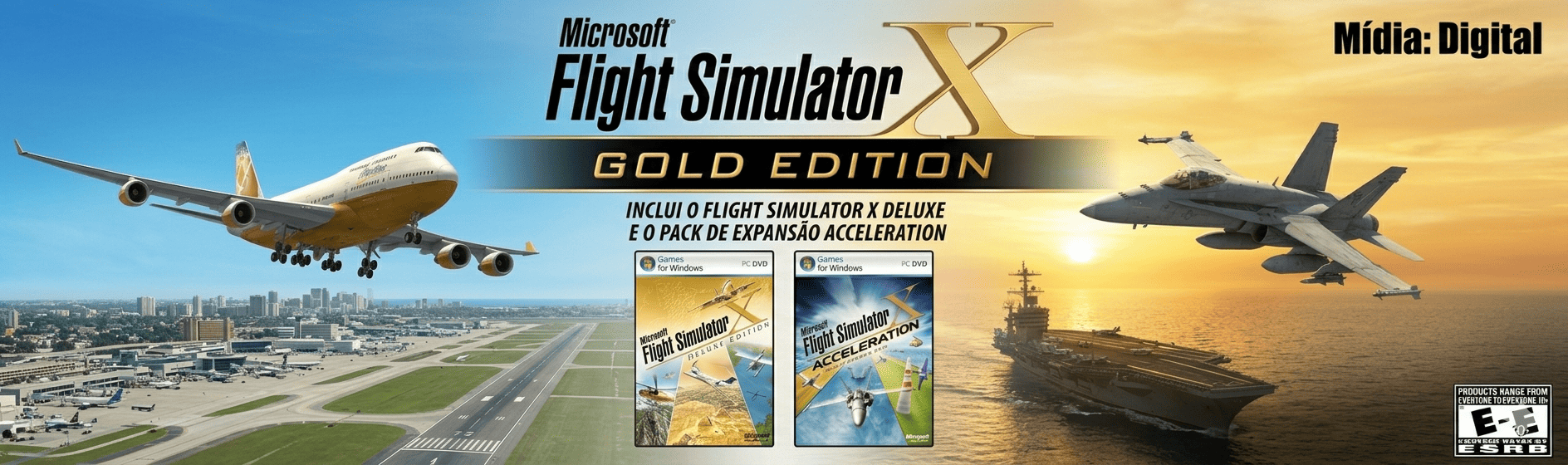 Flight Simulator X